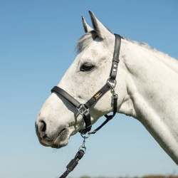 Equilibrium Stellar Headcollar / Field Safe Halter